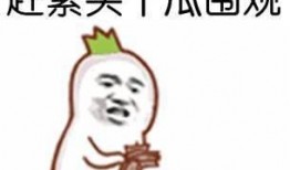 吃瓜群众免费吃瓜答案,揭秘“吃瓜群众免费吃瓜”背后的真相与乐趣