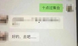 怎么看最新爆料信息内容,深度解析事件背后真相