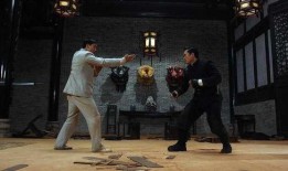 叶问前传高清在线观看,传奇初启高清在线观看，重温宗师之路